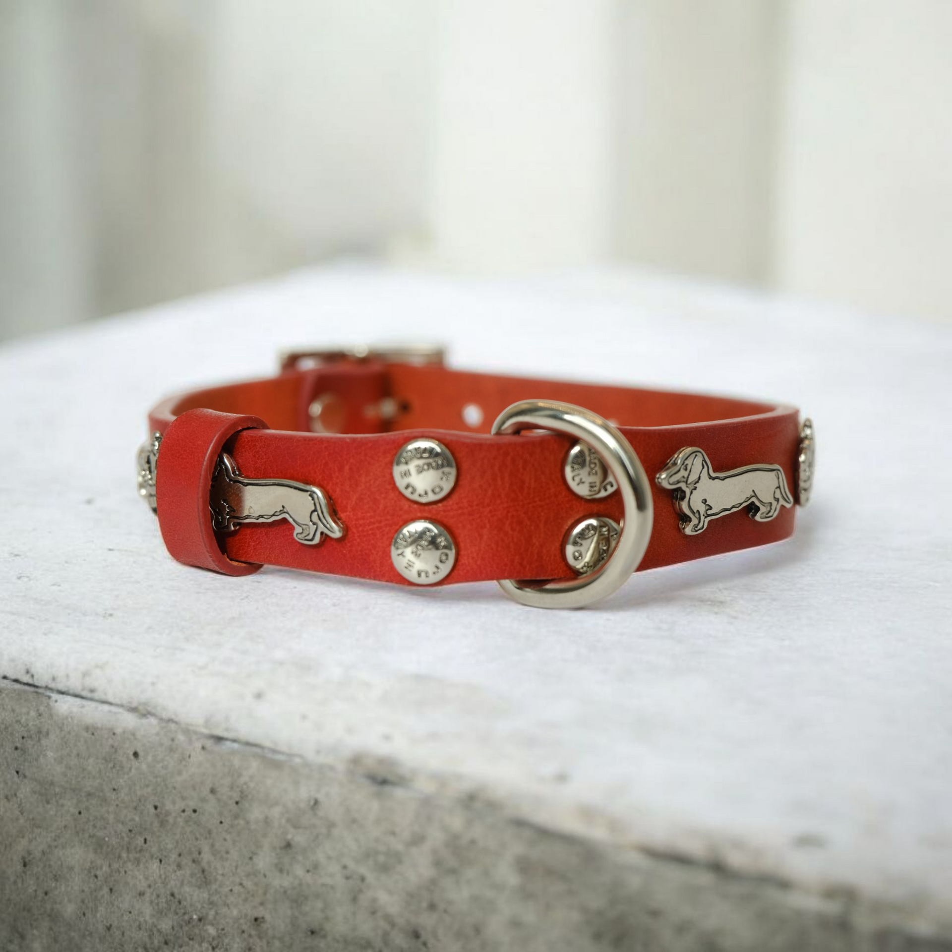 "252" Dachshund Collar