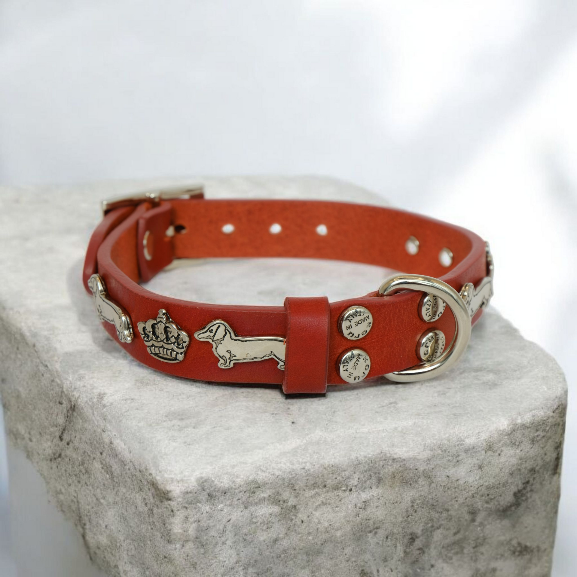 "252" Dachshund Collar