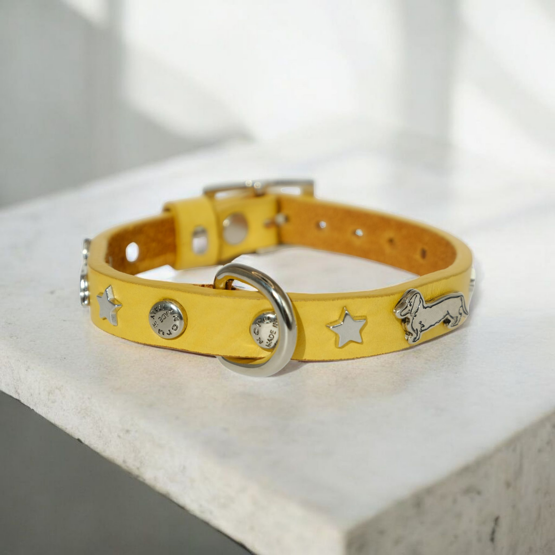 "208" Dachshund Collar